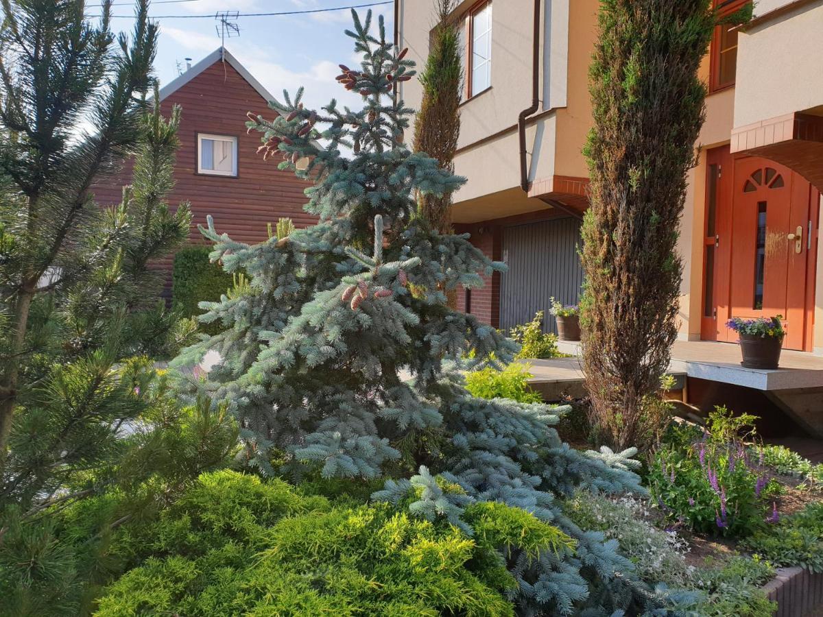 Apartamenty I Pokoje U Beaty Augustow Luaran gambar