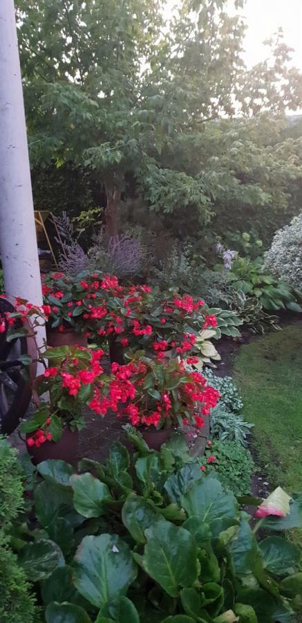 Apartamenty I Pokoje U Beaty Augustow Luaran gambar